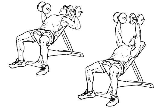 Incline Bench Press Incline Bench Press